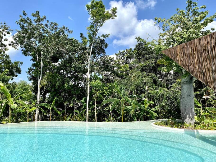 Exclusive Studio In A Gated Community By Casa Paraiso 图卢姆 外观 照片